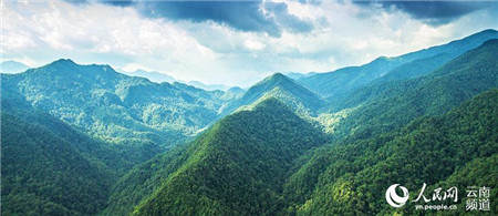 微信圖片_20210816224530 微信圖片_20210816224530