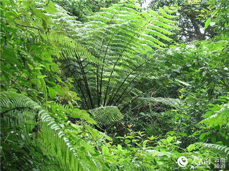 微信圖片_20210816224621 微信圖片_20210816224621