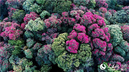 微信圖片_20210816224658 微信圖片_20210816224658