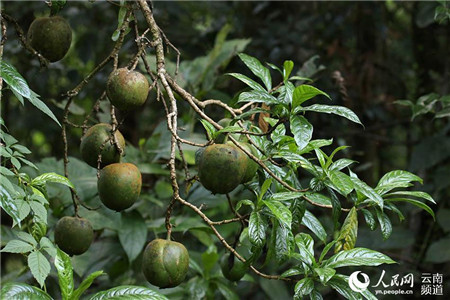 微信圖片_20210816224804 微信圖片_20210816224804