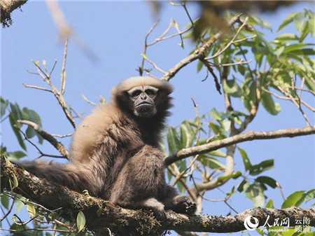 微信圖片_20210816224836 微信圖片_20210816224836