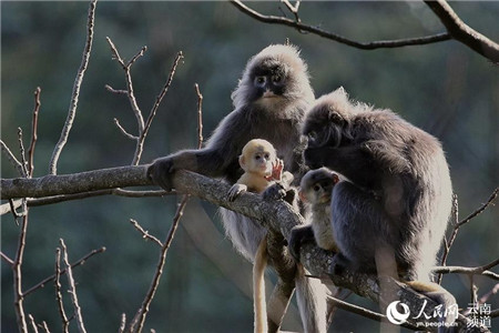 微信圖片_20210816224858 微信圖片_20210816224858