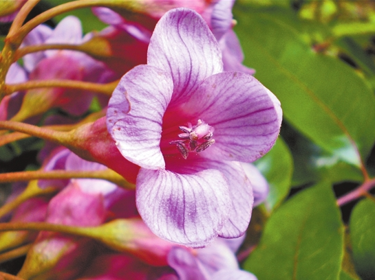 微信截圖_20210817075138 微信截圖_20210817075138