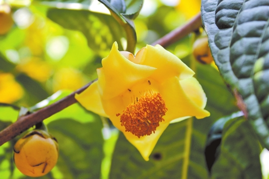 微信截圖_20210817075206 微信截圖_20210817075206