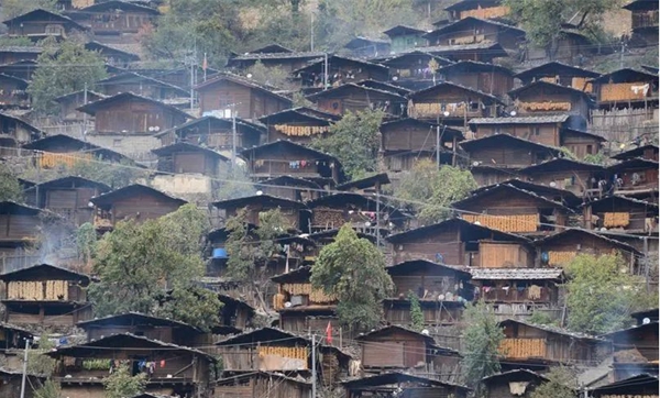 d382ce4a-2c97-42aa-82f5-1332175f2fbe d382ce4a-2c97-42aa-82f5-1332175f2fbe