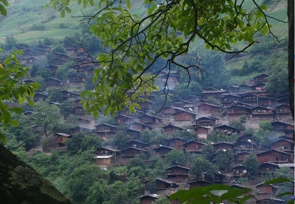 d2e5747a-43ff-4043-a00f-c4e12f65f2d4 d2e5747a-43ff-4043-a00f-c4e12f65f2d4