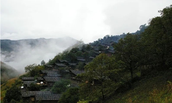 484b6319-0ac9-4d20-872a-31349d5914e0 484b6319-0ac9-4d20-872a-31349d5914e0