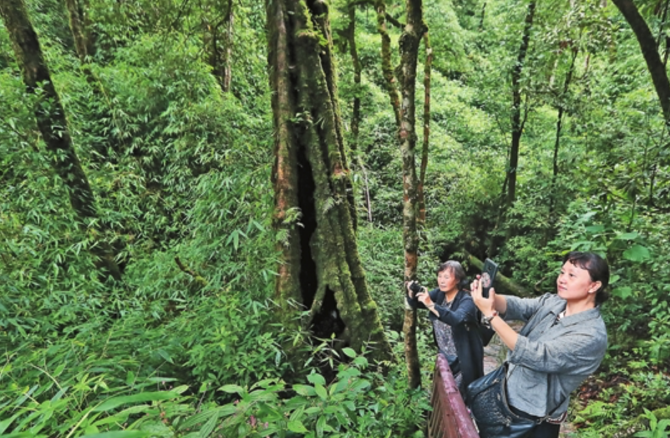 WX20210818-080439@2x