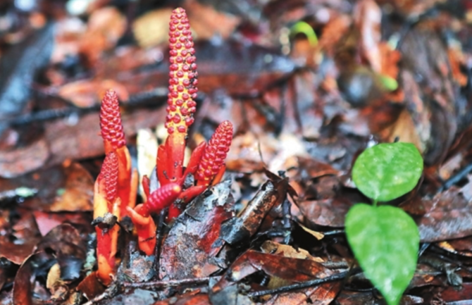 WX20210818-080503@2x