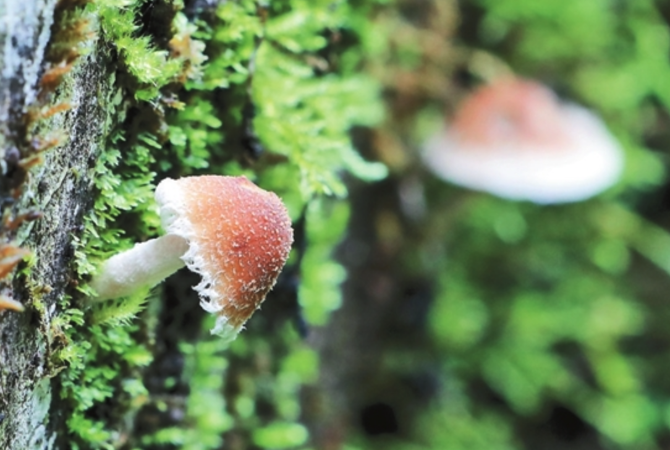 WX20210818-080514@2x