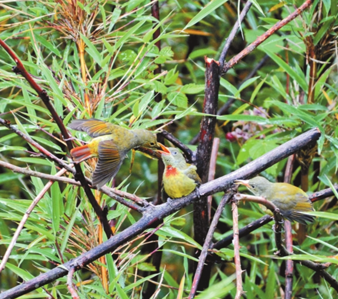 WX20210818-082948@2x WX20210818-082948@2x