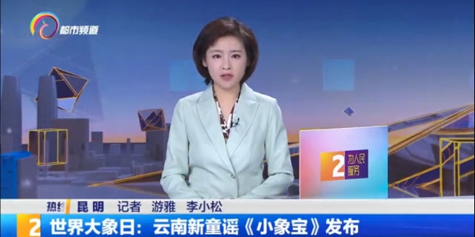 《小象寶》創(chuàng)作記：保護大象，是云南人對全世界的責(zé)任