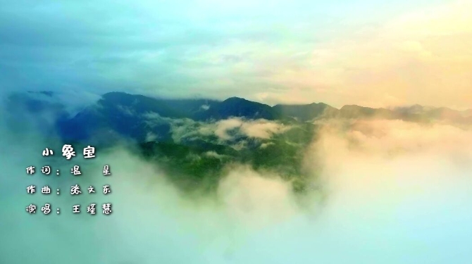 《小象寶》創(chuàng)作記：保護大象，是云南人對全世界的責(zé)任