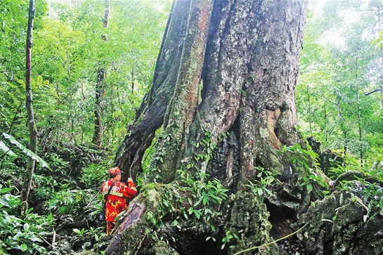 微信截圖_20210820074154 微信截圖_20210820074154