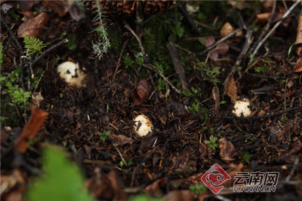 00304124721_9bcb75c2 00304124721_9bcb75c2