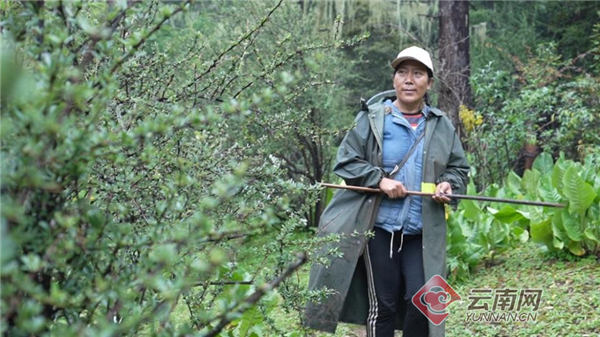 00304124709_a1031c8b 00304124709_a1031c8b