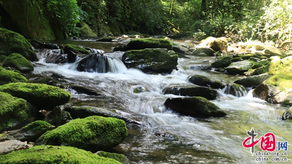 2f6d336f-f679-4c63-ae72-f5800b31c919 2f6d336f-f679-4c63-ae72-f5800b31c919