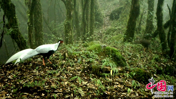 b0a4a0e5-3e47-45bd-9ef6-9d79283063d3 b0a4a0e5-3e47-45bd-9ef6-9d79283063d3