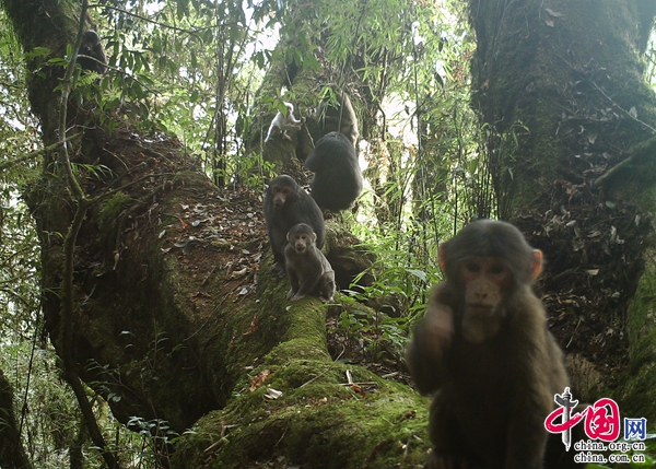 b8e3ecf8-e093-487b-b50d-557a0d8054d4 b8e3ecf8-e093-487b-b50d-557a0d8054d4