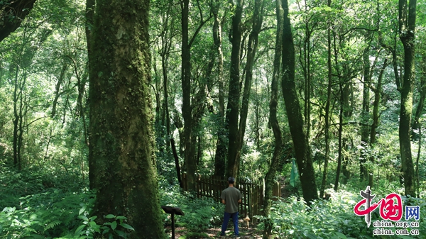 8bd803cb-208e-4e8c-ba74-08eae8753bc2 8bd803cb-208e-4e8c-ba74-08eae8753bc2