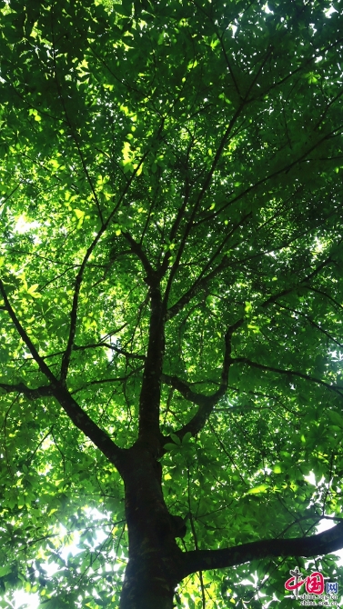 33665519-105c-4956-8c91-0d943a4f3cf6 33665519-105c-4956-8c91-0d943a4f3cf6