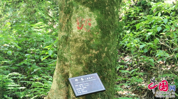 9faa3f79-371a-4b56-86b5-7586cf7de02a 9faa3f79-371a-4b56-86b5-7586cf7de02a