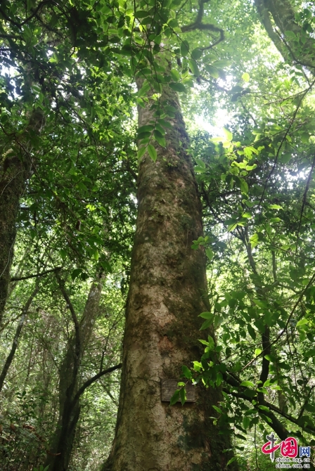 4d80d248-b756-45a5-aa7a-f4b05404994b 4d80d248-b756-45a5-aa7a-f4b05404994b