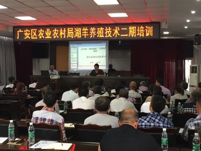 張開榮在廣安區(qū)農(nóng)業(yè)農(nóng)村局湖羊養(yǎng)殖技術(shù)培訓(xùn)班上講課
