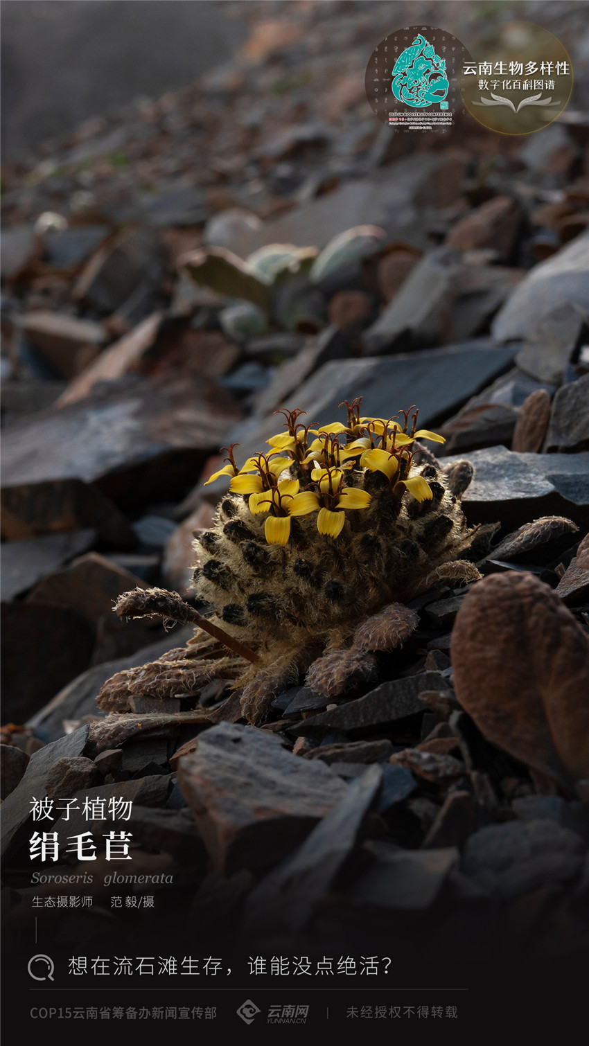 00304129779_386221d3 00304129779_386221d3