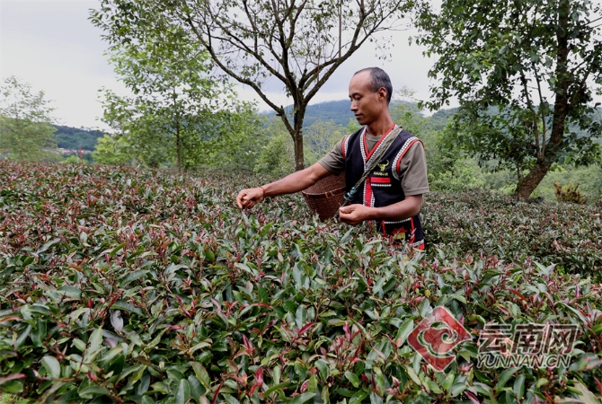 00304129663_a927d96a 00304129663_a927d96a