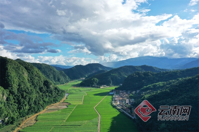 00304129667_2d39efb9 00304129667_2d39efb9