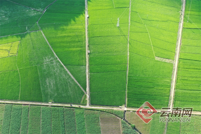 00304129668_498b7c2f 00304129668_498b7c2f