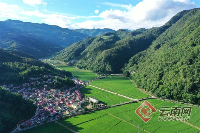 00304129670_d59d5932 00304129670_d59d5932