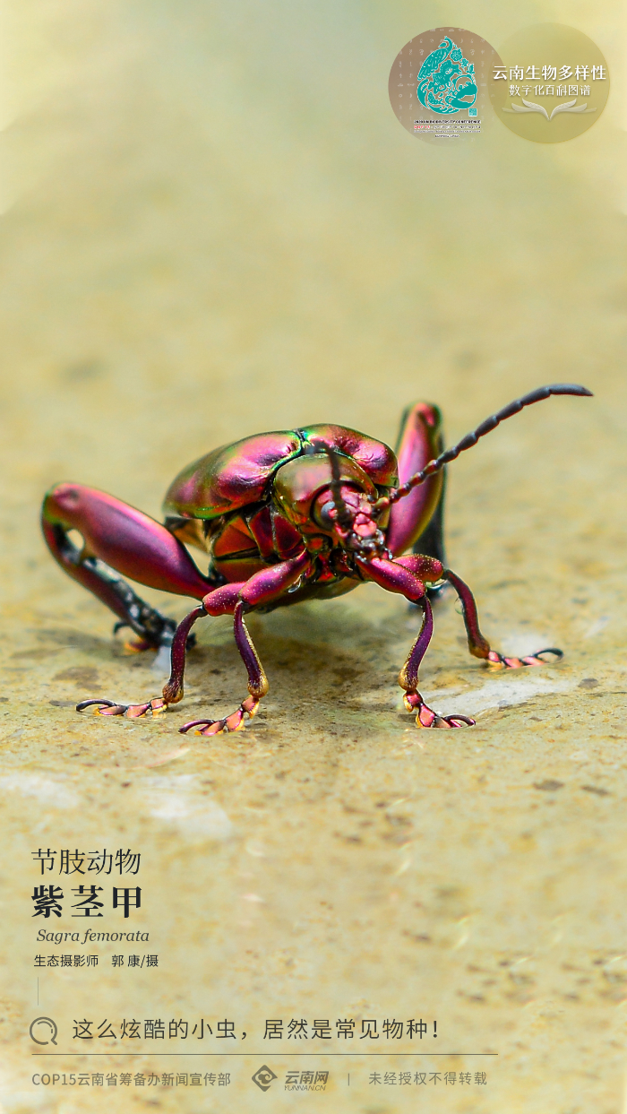 00304132267_557a0161 00304132267_557a0161