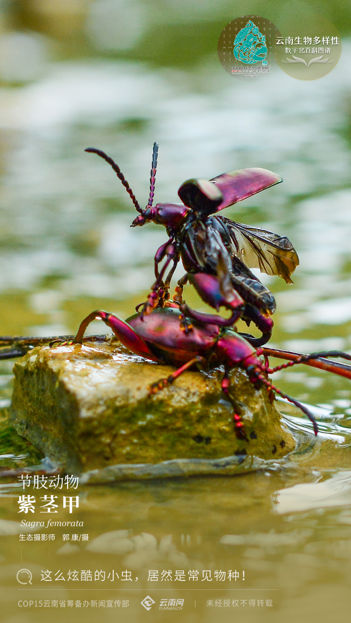 00304132268_79ce1dd3 00304132268_79ce1dd3