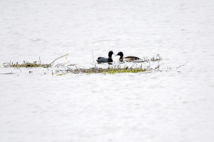 19671629832204247 19671629832204247