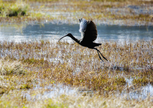 43561629832204200 43561629832204200