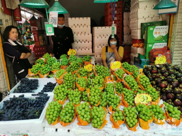 陽光玫瑰（春城晚報-開屏新聞記者 李賽 攝）