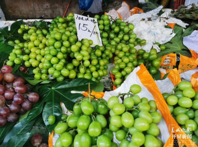 陽光玫瑰（春城晚報-開屏新聞記者 李賽 攝）