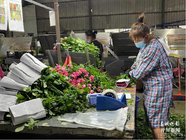 COP15云南生物多樣性主題采訪行在昆啟動 春城晚報-開屏新聞記者 張?zhí)镱?攝影報道