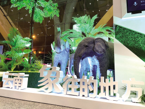 73111629908746069 73111629908746069