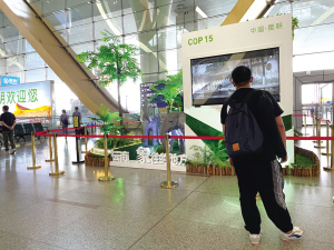 51491629908746069 51491629908746069