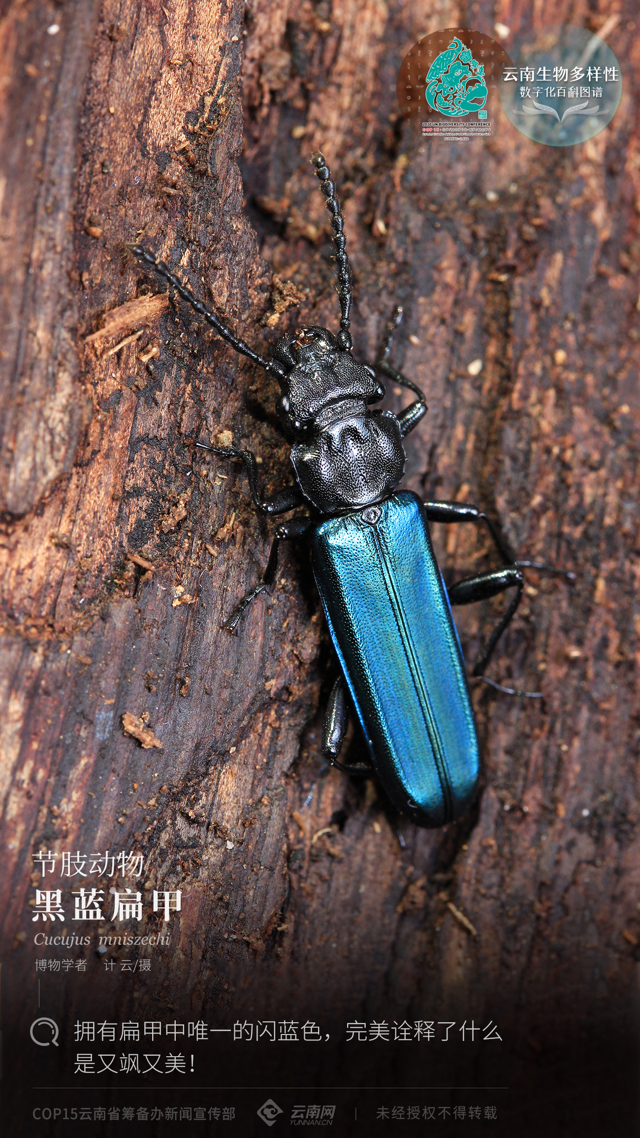 00304137143_3e36cc02 00304137143_3e36cc02