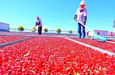 中等收入大軍如何“擴(kuò)群”