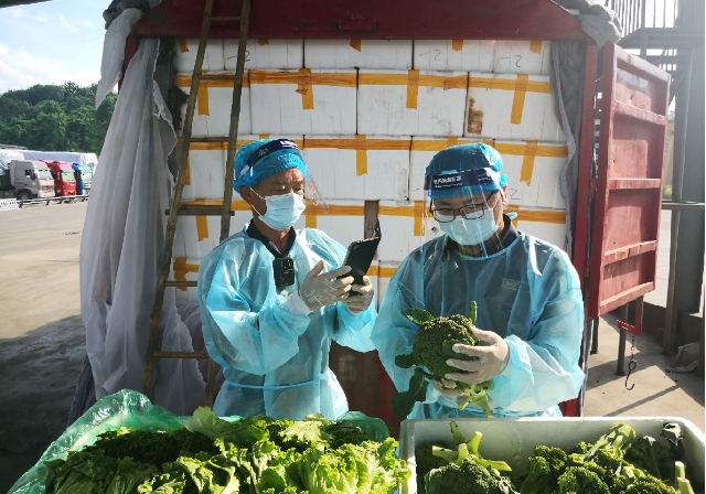 云南自貿(mào)區(qū)掛牌兩周年，區(qū)內(nèi)海關(guān)注冊(cè)企業(yè)累計(jì)實(shí)現(xiàn)進(jìn)出口559.3億元 昆明海關(guān)供圖