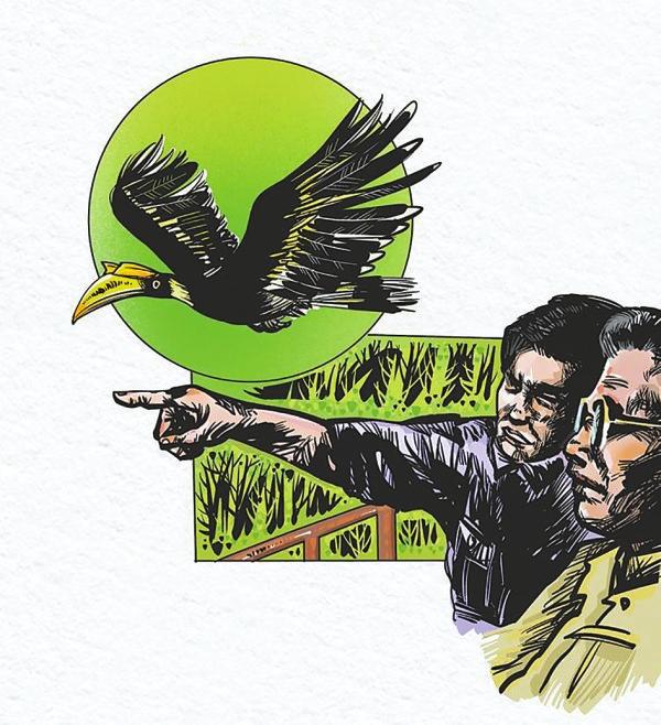 c5373138-c5b7-495a-923b-b0a8f7509dc9.jpg c5373138-c5b7-495a-923b-b0a8f7509dc9.jpg