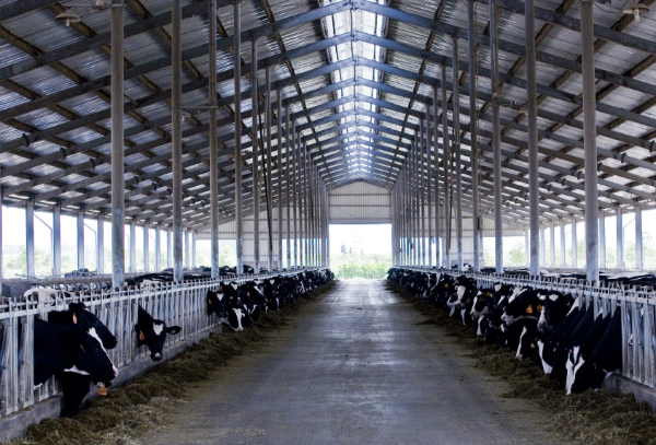 86e2081a22824dd0a24ccfdafa5668ff 86e2081a22824dd0a24ccfdafa5668ff