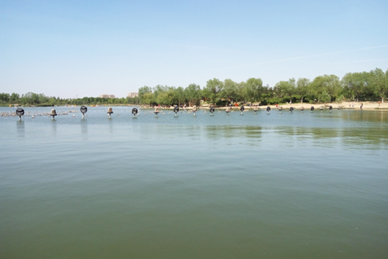 Cn4AP2Eu0qSAeSkpAAP_4XkDiSk466 Cn4AP2Eu0qSAeSkpAAP_4XkDiSk466