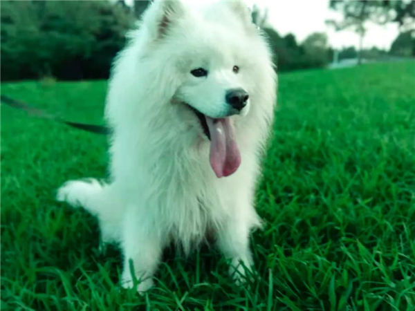 微信圖片_20210903145257