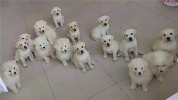 微信圖片_20210903145305